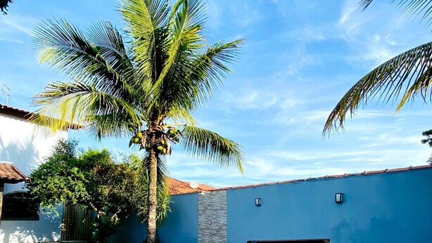 A pool area with a wooden deck, a bench, and a palm tree. - Rua Professor Nelson Rabello (Marica)