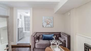 Smart TV, fireplace, books, stereo