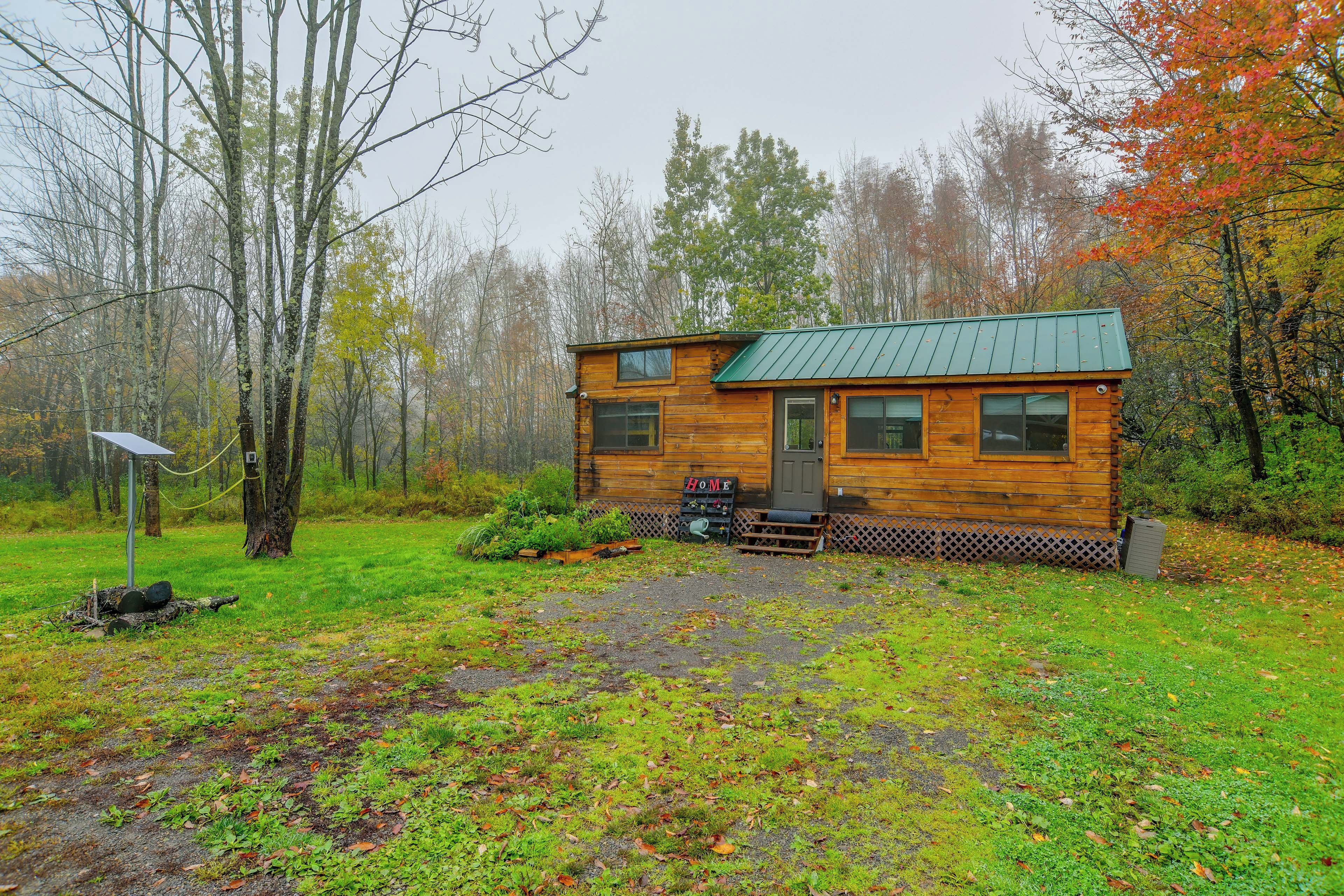 A wooden cabin with a green roof, surrounded by trees and a grassy area.