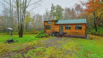 A wooden cabin with a green roof, surrounded by trees and a grassy area.