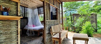 Palo de Arco - Rancho Venado Azul