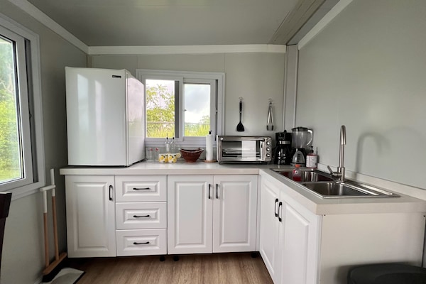 Refrigerador, horno, placa de cocina, cafetera/tetera