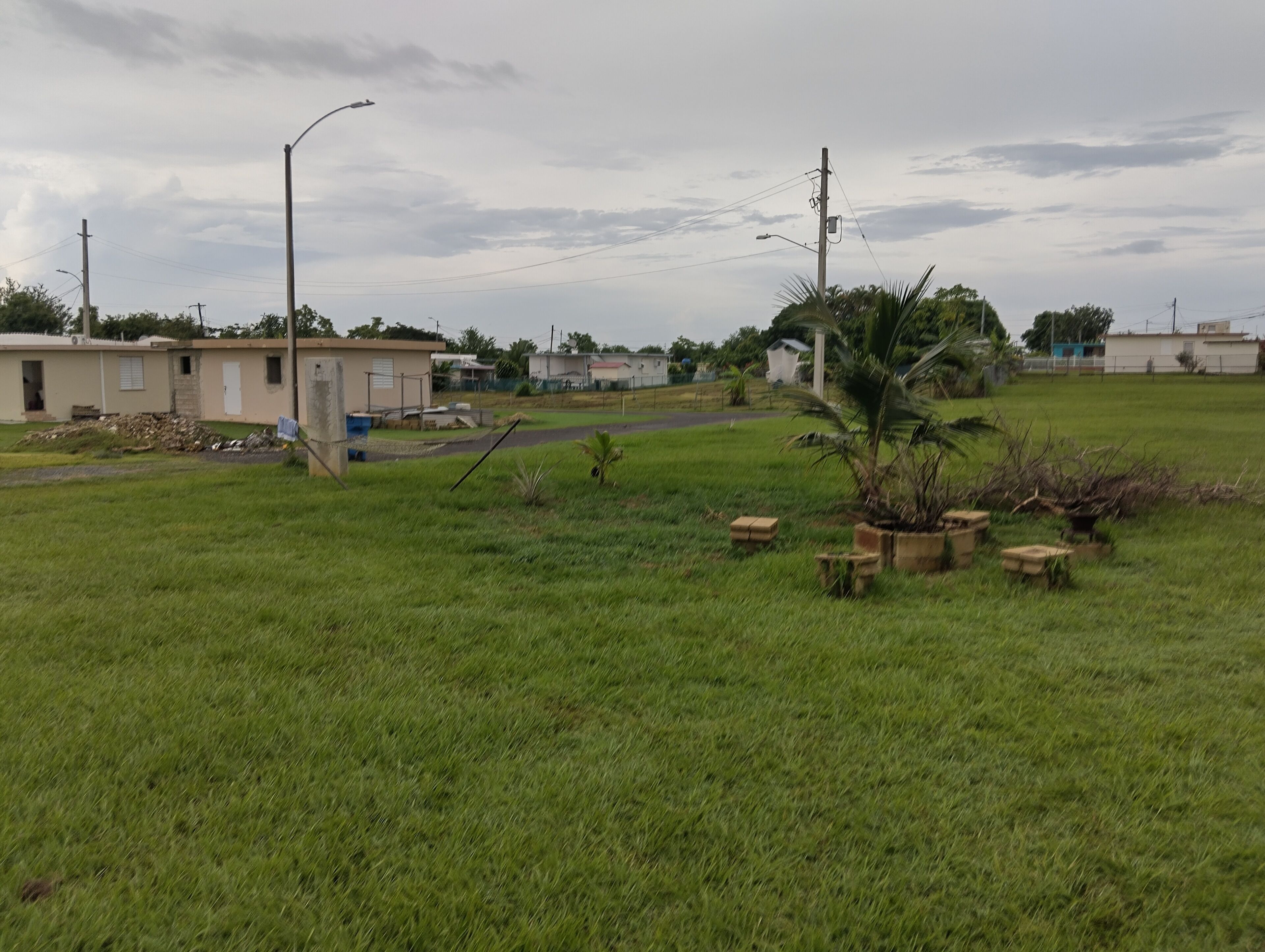 A grassy area with a small building, a street lamp, and utility poles.