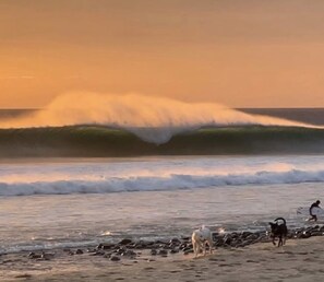 Chaises longues, serviettes de plage