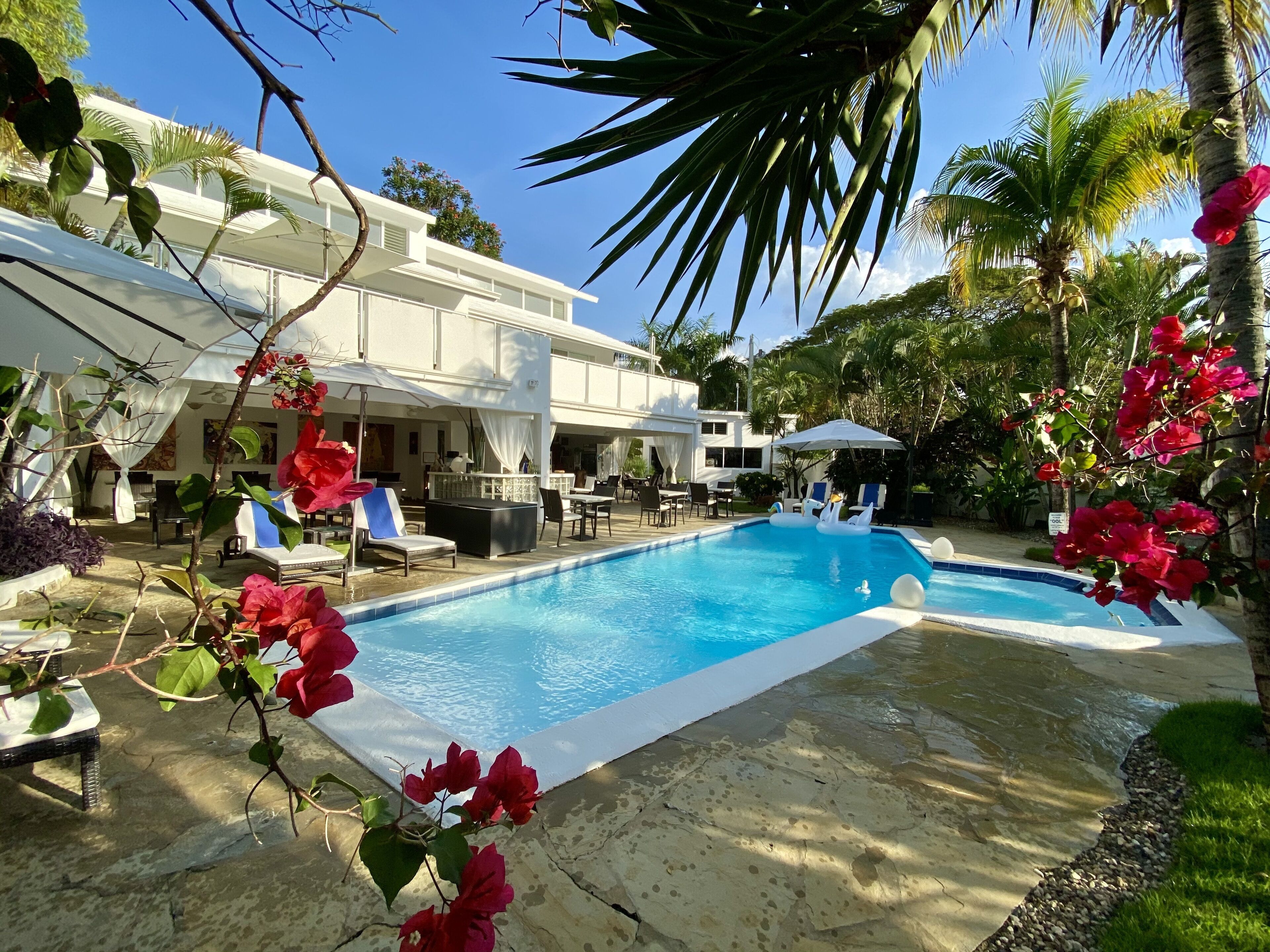 Una piscina con sillones de descanso y sombrillas, rodeada de palmeras y flores de buganvilla.