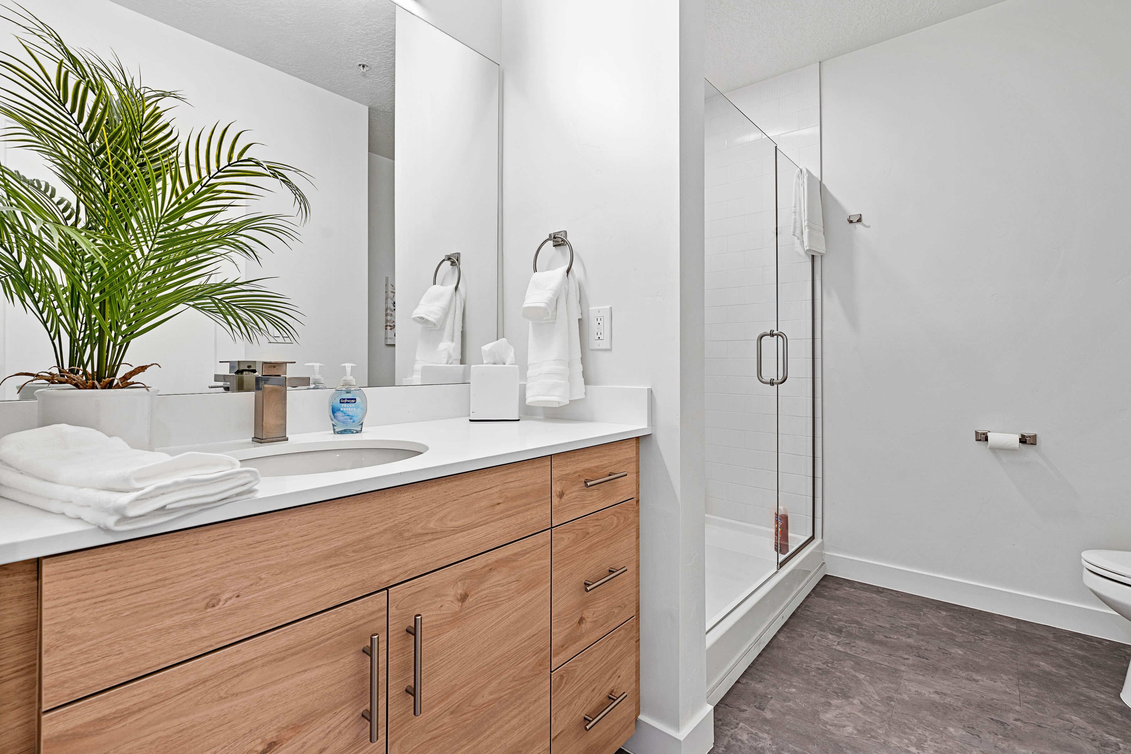 Une salle de bain moderne avec un meuble-lavabo en bois, un grand miroir, une plante en pot et une cabine de douche en verre.