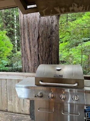 Property grounds - Guerneville Treehouse
(Guerneville)