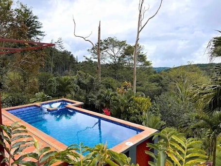 Pool. Hummingbird House/Casa de Colibri