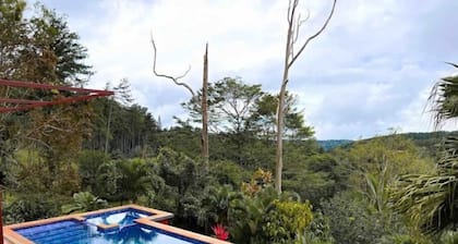 Hummingbird House/Casa de Colibri