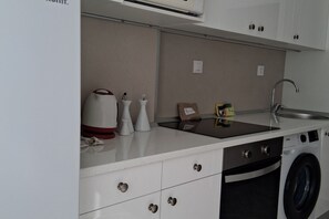 Una cocina pequeña con un lavamanos, lavadora y una estufa compacta.