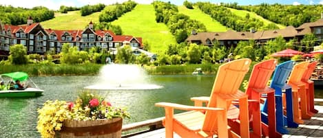 Área da propriedade