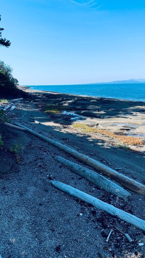 بالقرب من الشاطئ