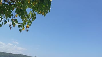 A boat on a clear turquoise sea with a sandy beach and a tree with green leaves in the foreground.