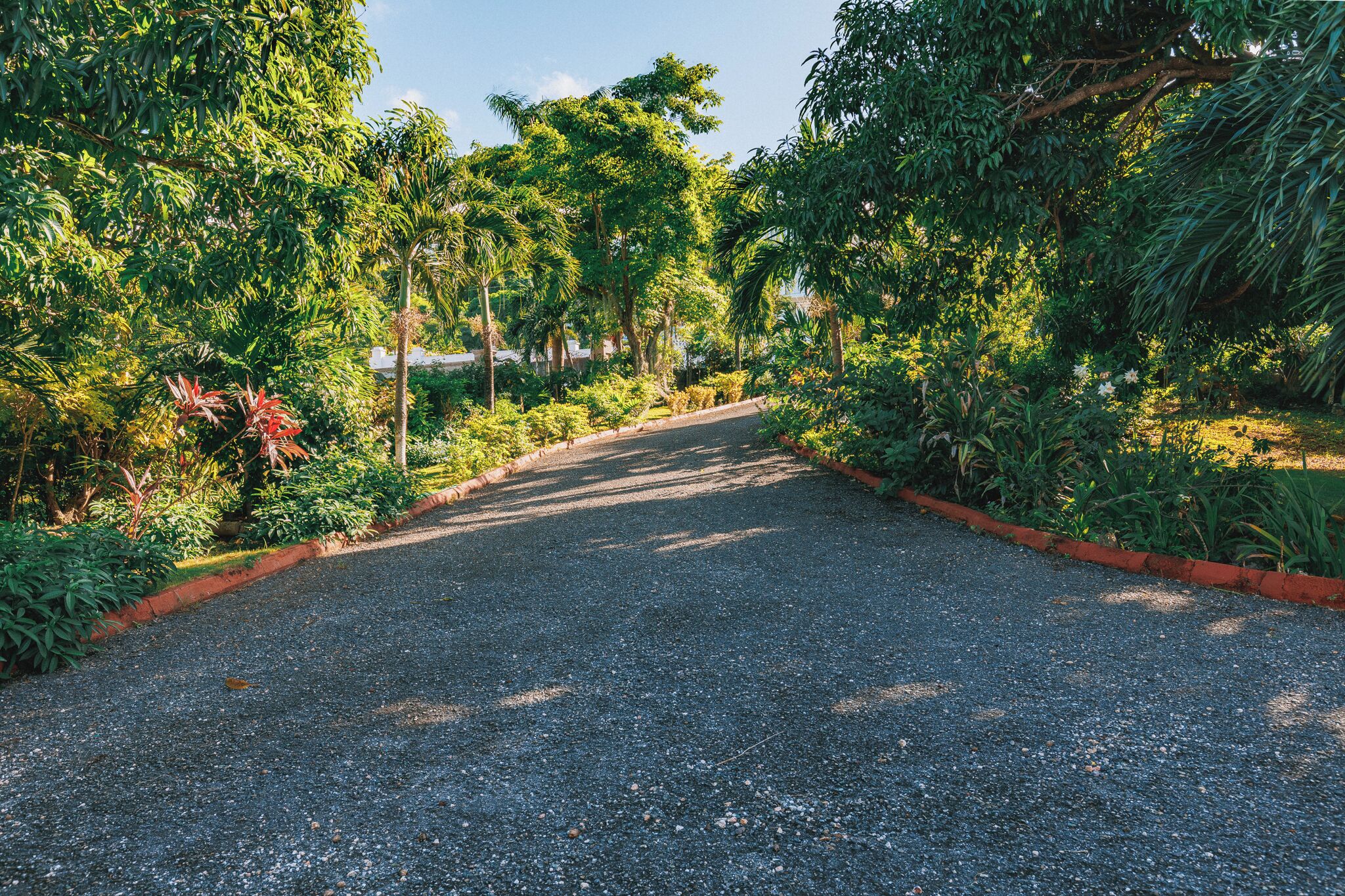A gravel path flanked by lush greenery and trees.