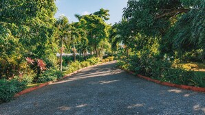 Un sendero de grava bordeado de abundante vegetación y árboles.