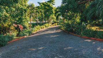 A gravel path flanked by lush greenery and trees.