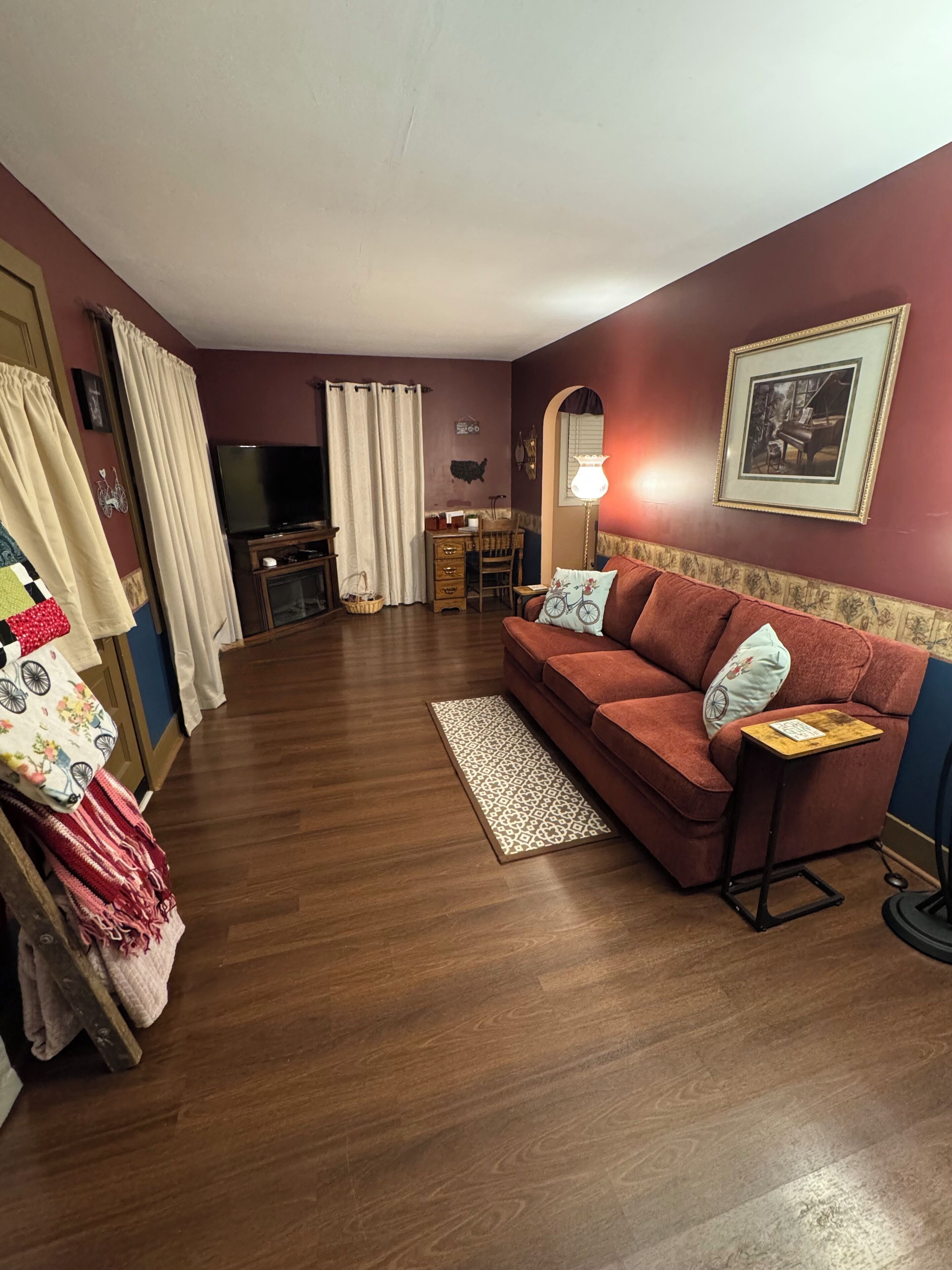 智能电视、壁炉、DVD 播放器、书