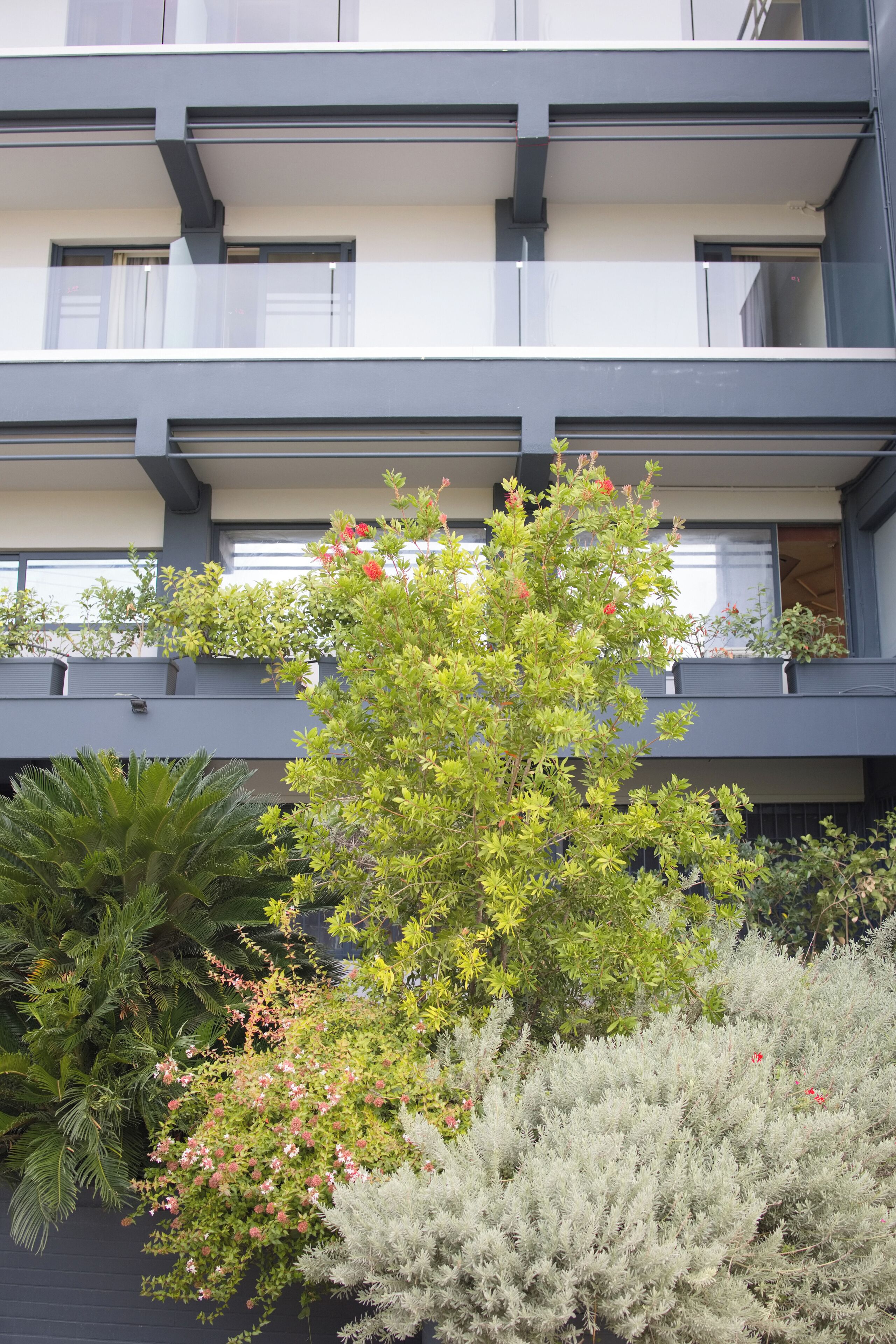 A multi-story building with balconies, surrounded by various types of vegetation including trees and shrubs.
