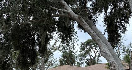 Beautiful 3bedroom 2bath home in Venice Florida