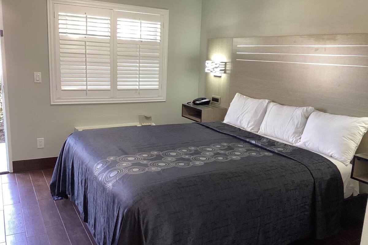 economy single room | 1 bedroom, desk, free wifi