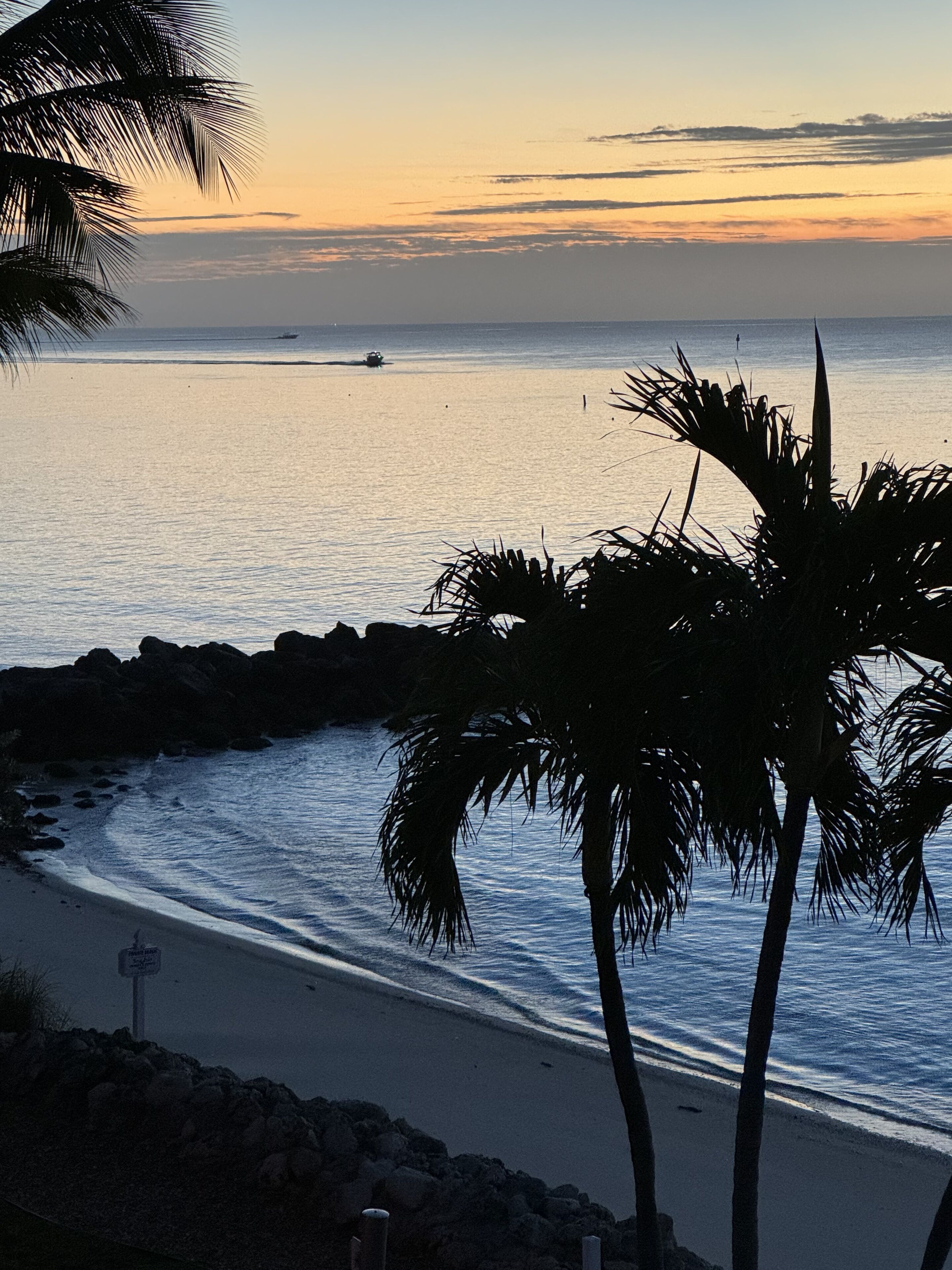 A beach with palm trees and a rocky shoreline.