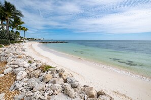 On the beach - Oceanfront Private Beach in Key Colony Beach Florida Keys (Key Colony Beach)