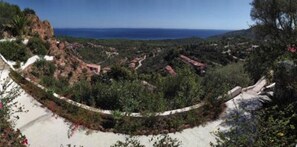 Área da propriedade