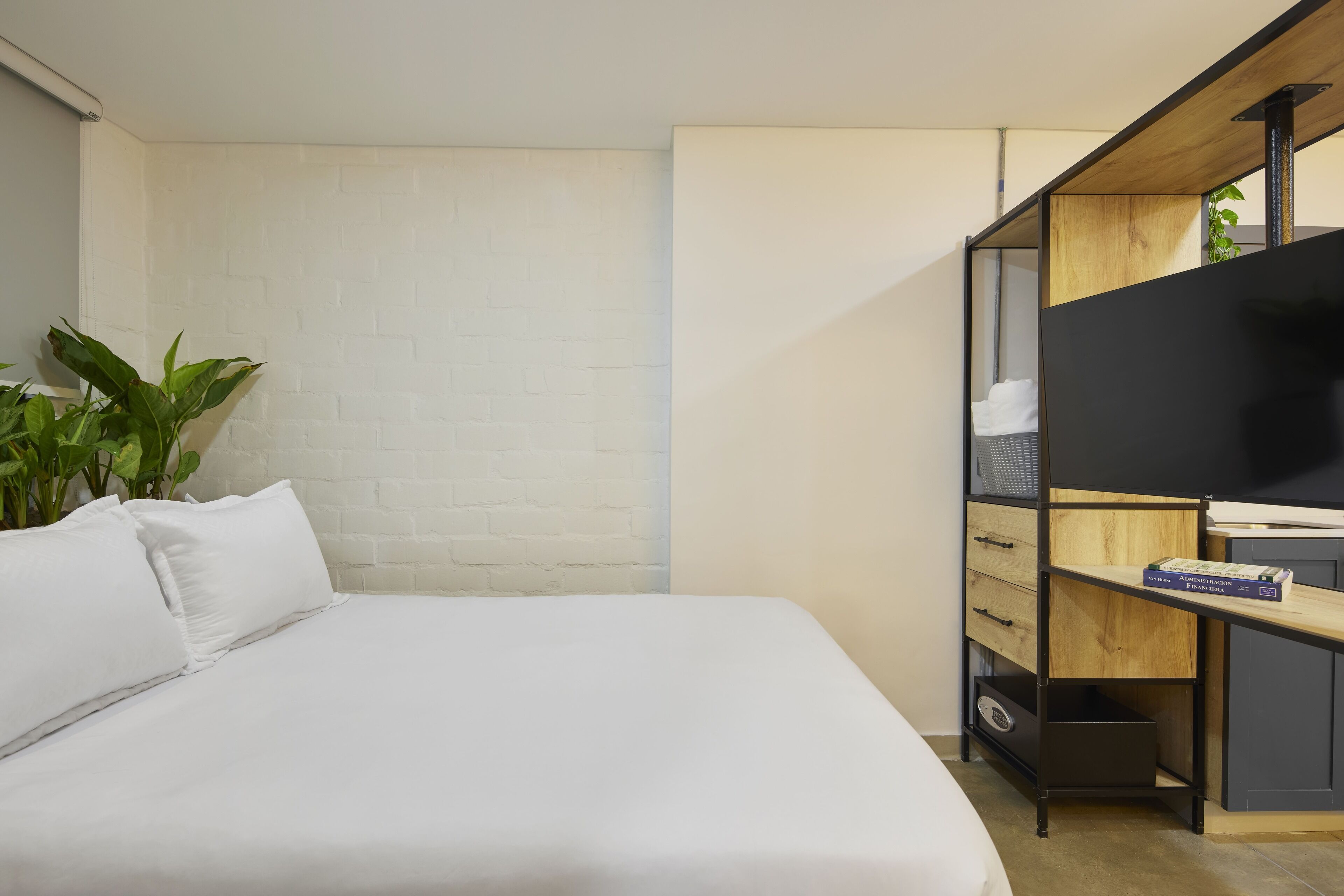 A modern bedroom with a bed, a wooden desk, a television, and a plant.