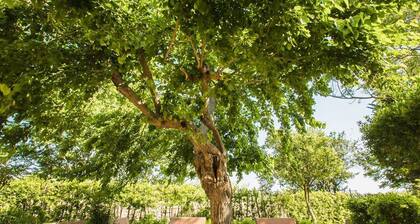 40 sq m apartment featuring a living room with a sofa bed and satellite TV, a fully equipped kitchenette, and a refrigerator.A double bedroom and a bathroom. Private parking is available.AIR CONDITIONING IS NOT AVAILABLE.