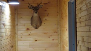 A wooden interior with a mounted deer head on the wall and a light fixture above it. - located next to gamelands next to nature (Benton)