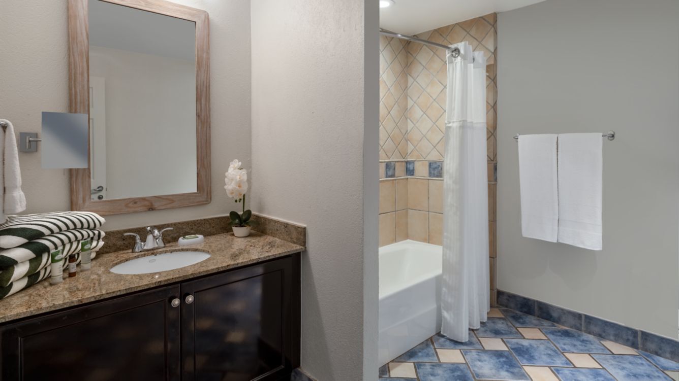 bathtub, hair dryer, towels, soap