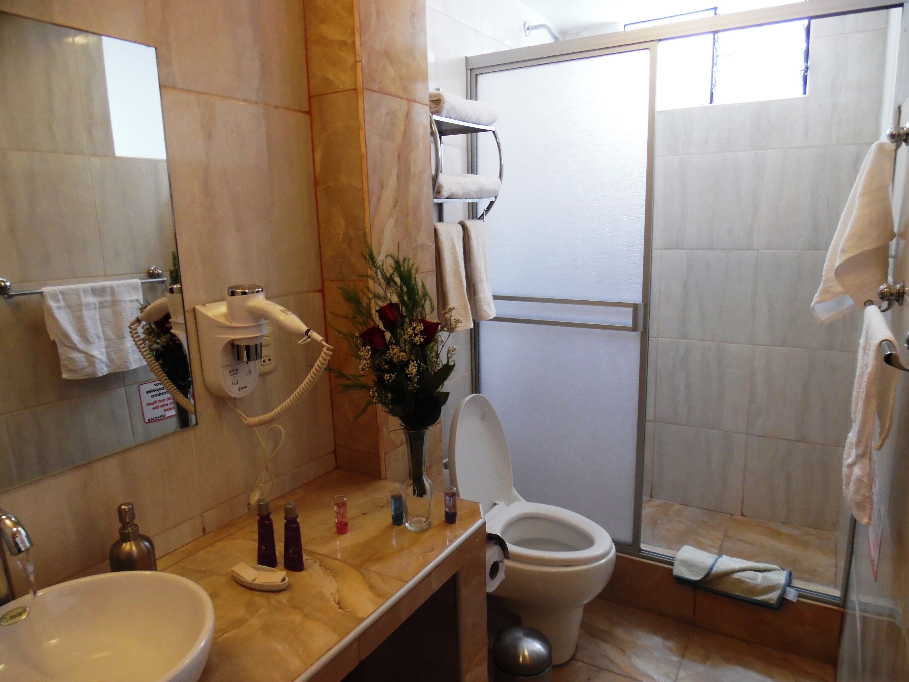 Ein Badezimmer mit Waschbecken, Toilette und Dusche. Handtuchhalter, Spiegel und eine Blumenvase sind vorhanden.