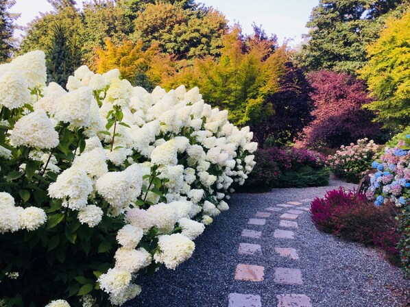 Property grounds - Historic Haven Across From Puget Sound High Speed Internet. (Hansville)