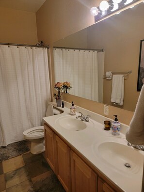 Hair dryer, towels, soap, shampoo