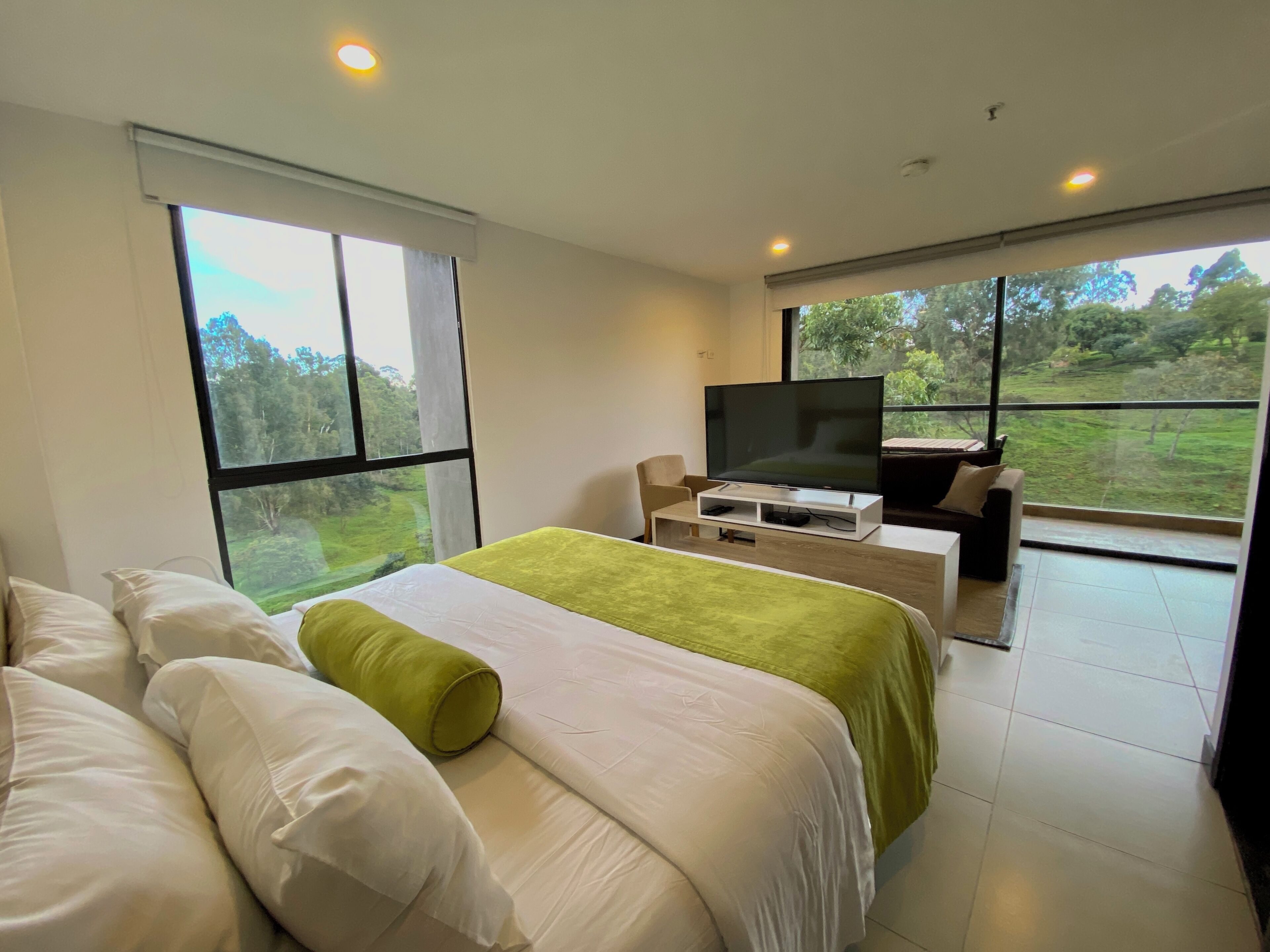 1 habitación 
