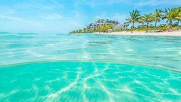 Playa en los alrededores