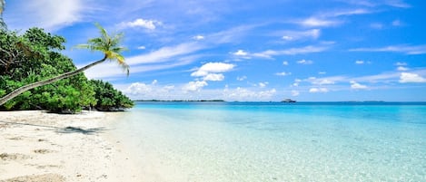 A clear turquoise sea, sandy beach, and lush greenery.