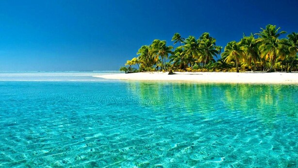 A clear turquoise sea with white sand and palm trees on a beach. - 30% Off September! Walk To Beach/Pool-CV41-2 (Leeward Settlement)