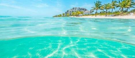 Una spiaggia nelle vicinanze