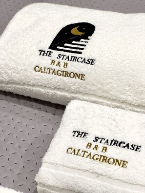 Ducha, secador de pelo, bidé y toallas