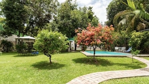 Un patio trasero con piscina, un camino de ladrillo y un árbol pequeño con flores rosadas.