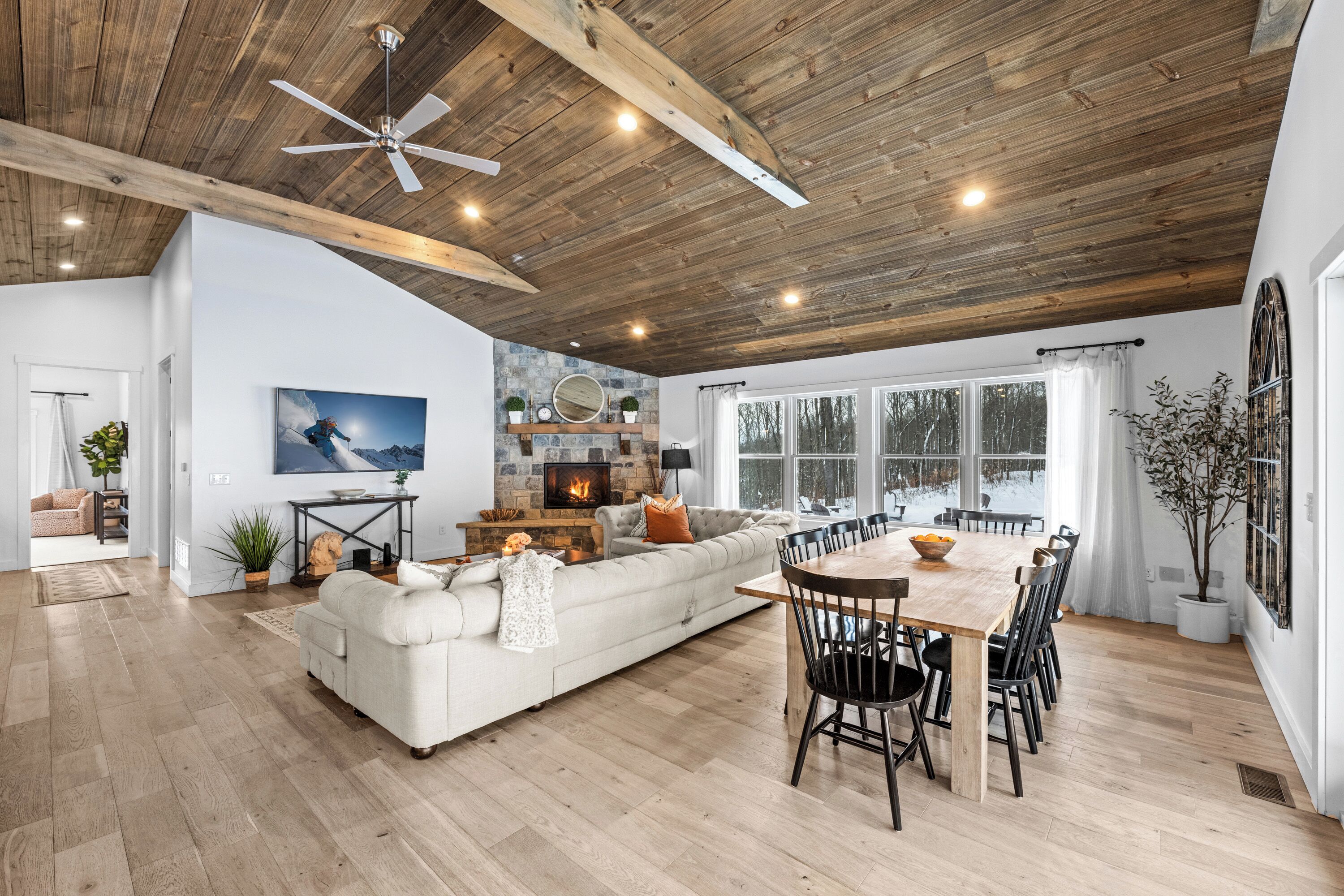 Télévision, cheminée, livres