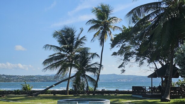 Una piscina con hidromasaje, rodeada de palmeras y vista al océano.
