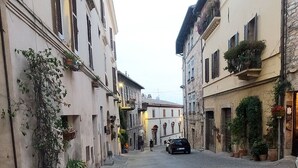 Una calle estrecha bordeada por edificios históricos, algunos con balcones y macetas.