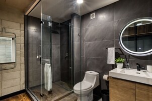 Ducha, cabezal de ducha tipo lluvia, secador de pelo, toallas