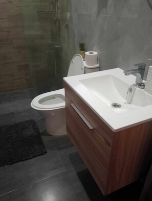 Hair dryer, towels, soap, shampoo