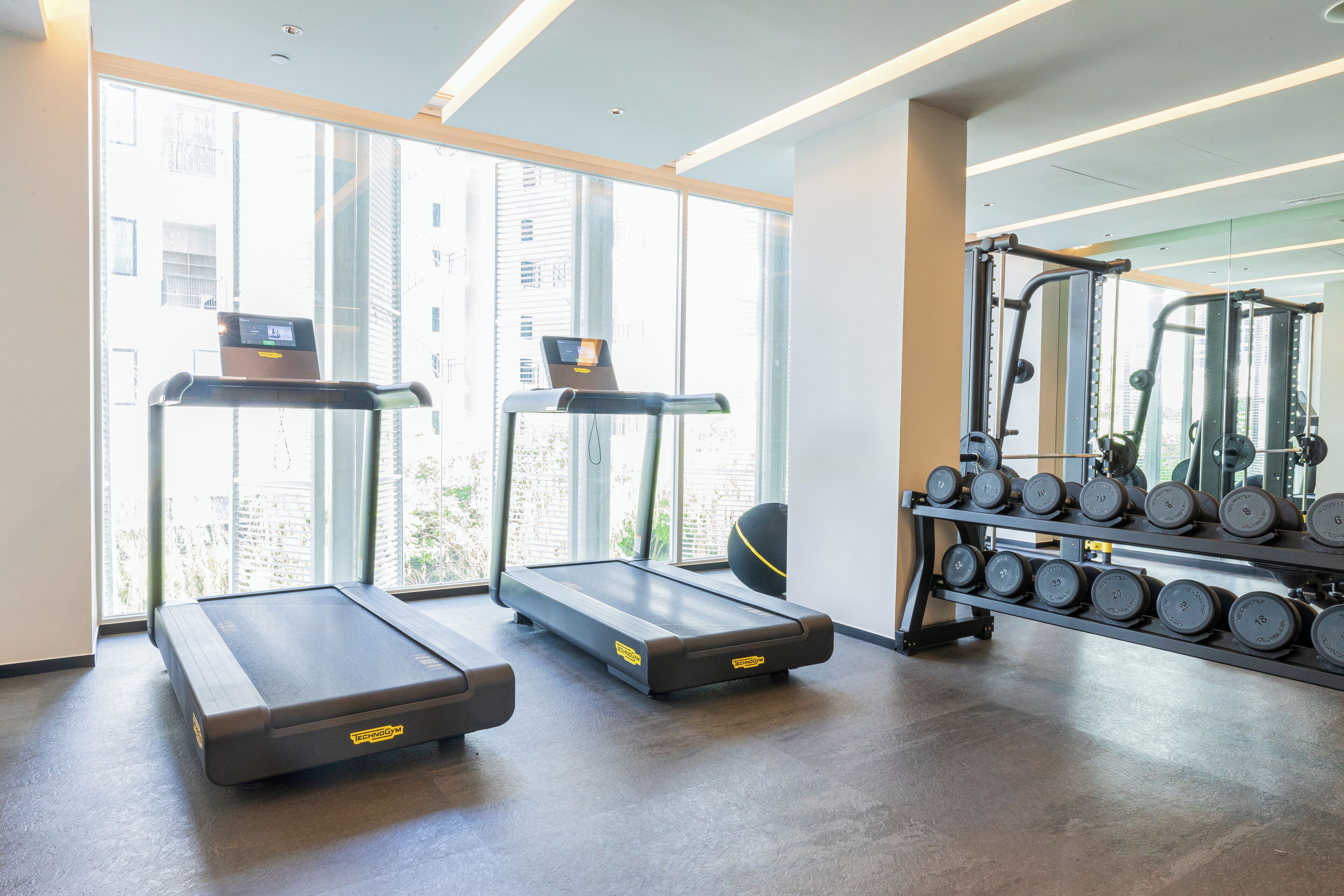 A gym with treadmills, a weight bench, and a rack of dumbbells.