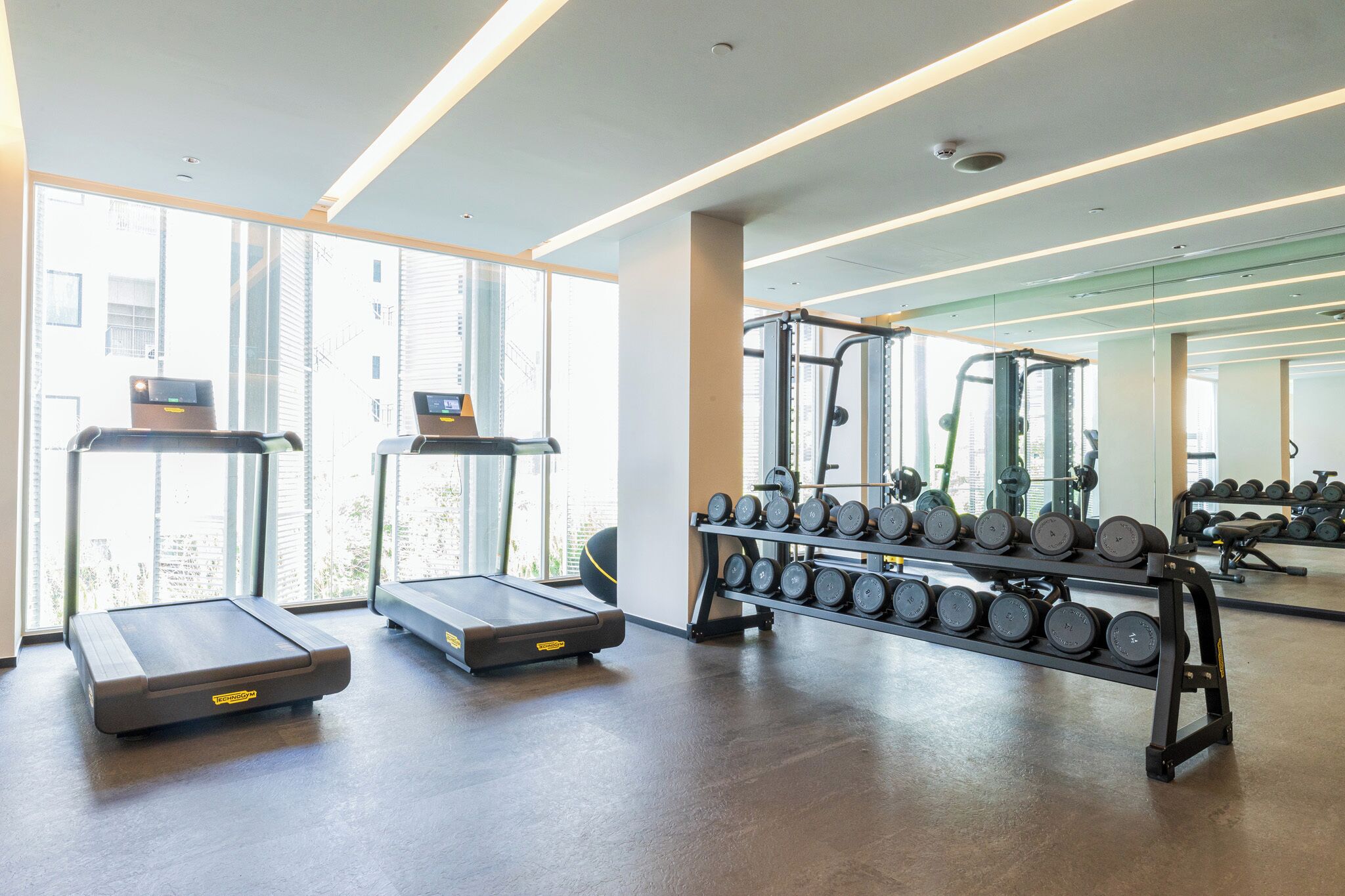 A gym with treadmills, dumbbells, and weight machines.