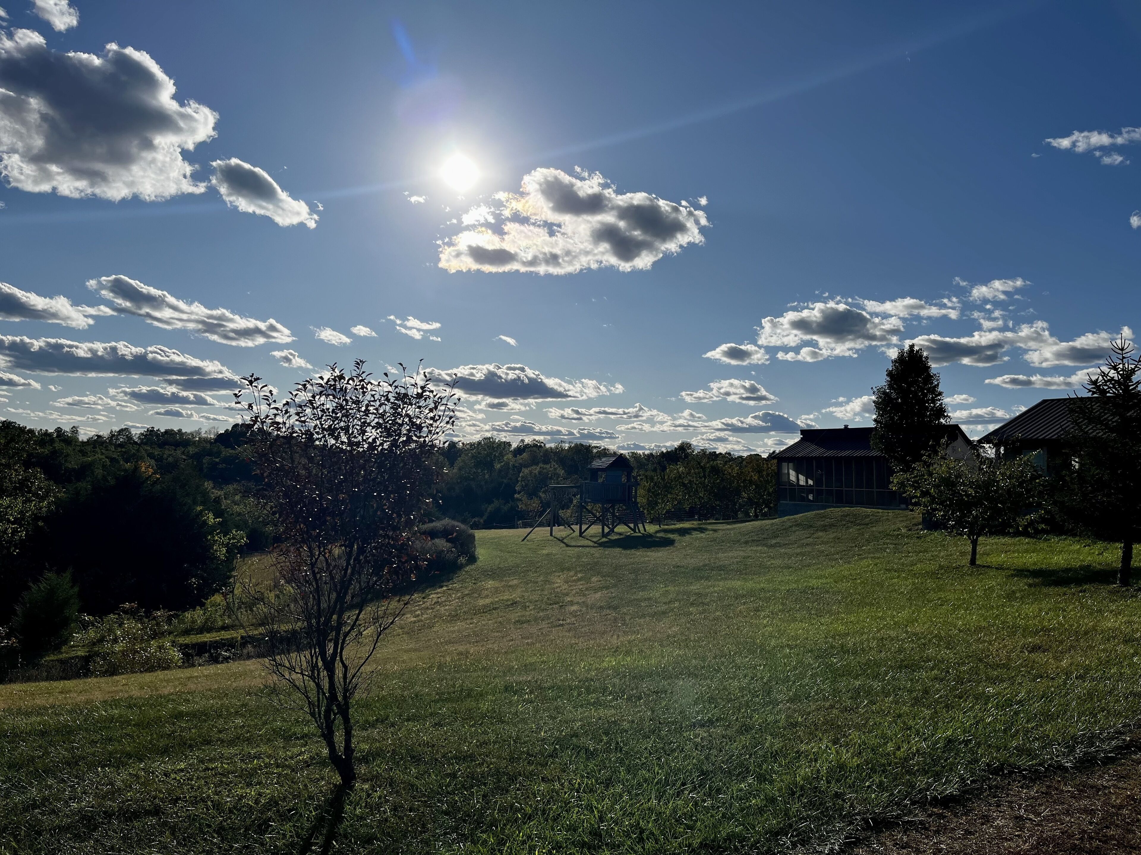 Tiny Home; Mini Farm Getaway—Pond, walking trail & pet-friendly! 15 mins to town