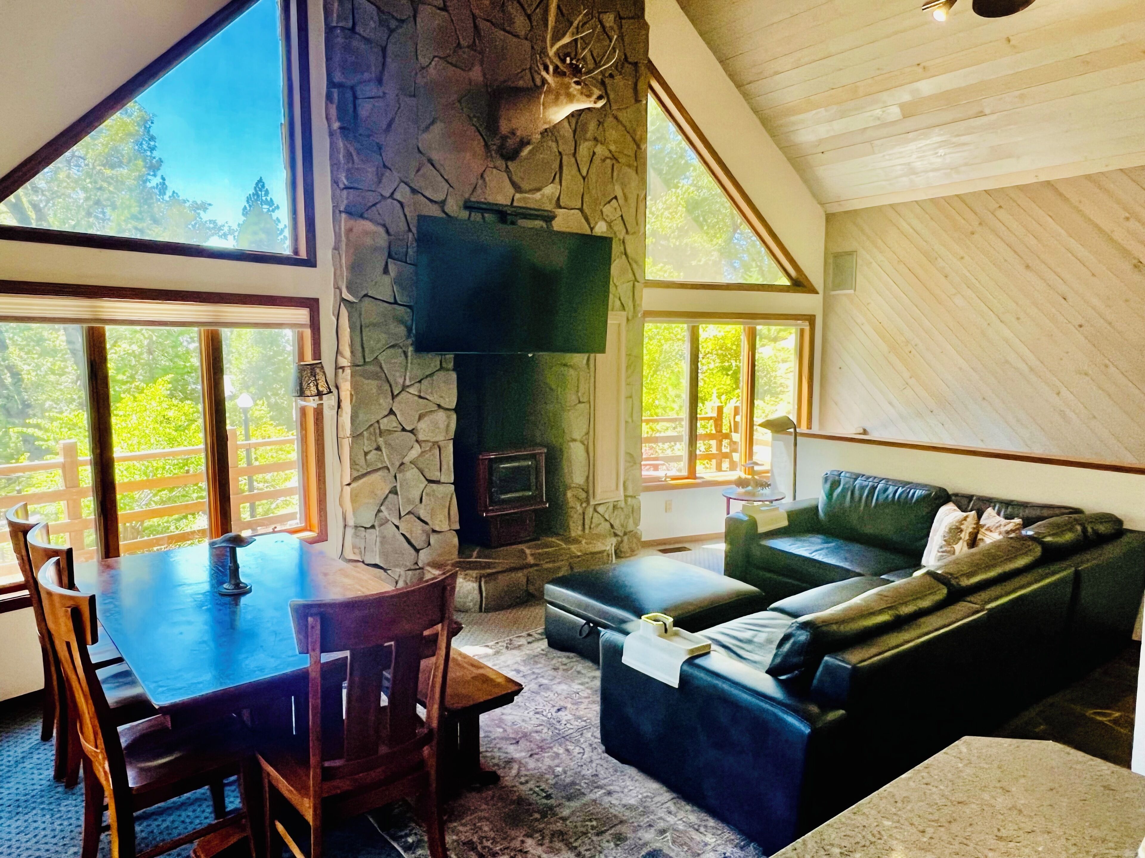 Smart TV, fireplace, books
